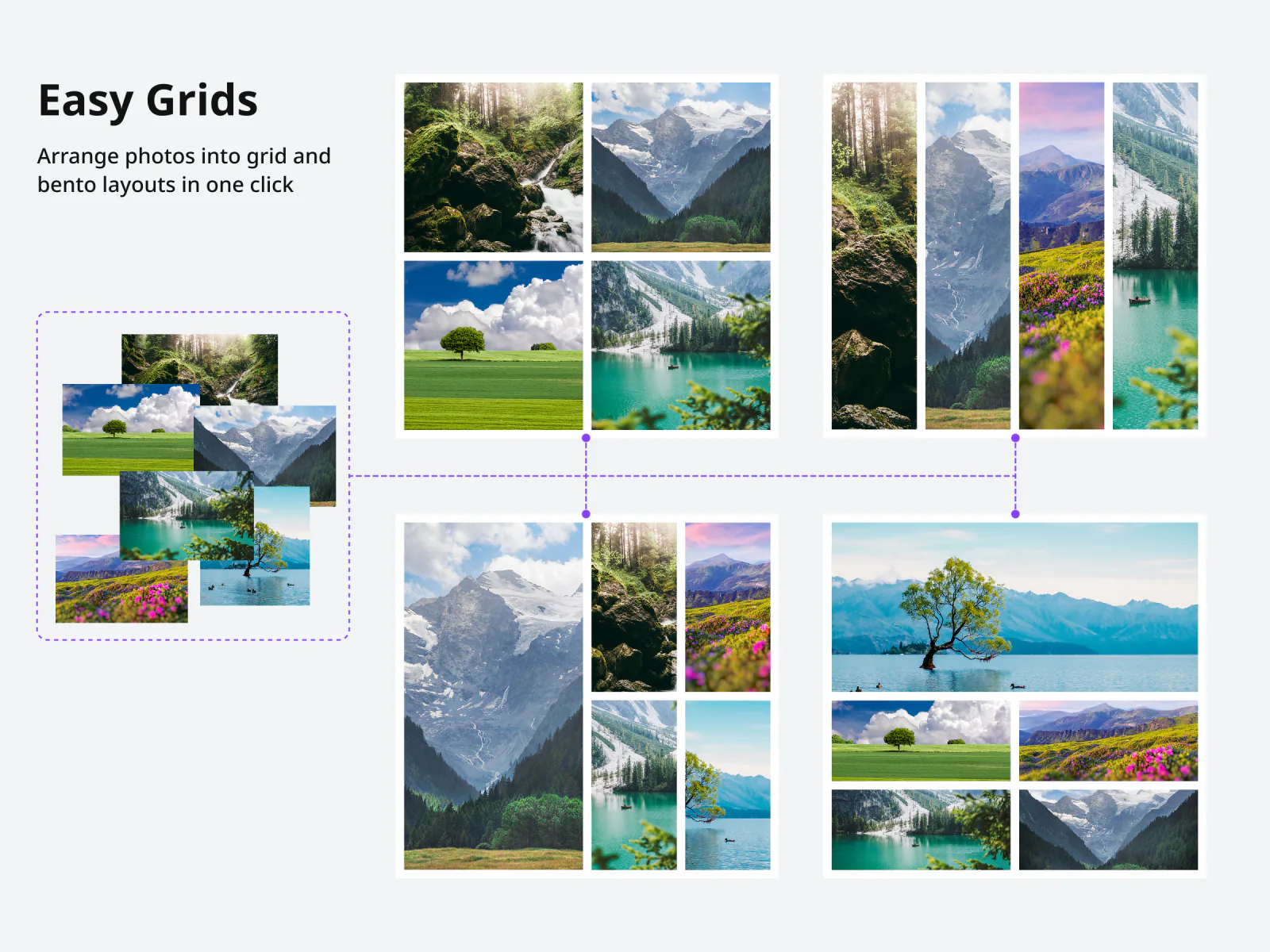 A scattered pile of photos on the left, connected to four finished layouts: a two-by-two grid, four vertical strips, and two bento arrangements.